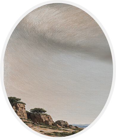 ellipse